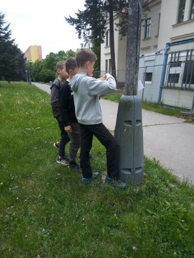 V PARKU