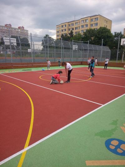 SPORTOVCI