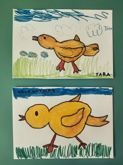 VÍTEJTE V ODDĚLENÍ KUŘÁTEK!