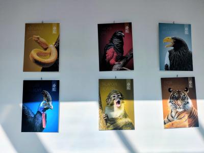 NÁVŠTĚVA VÝSTAVY V OC KRAKOV  - BARVY ZOO PRAHA