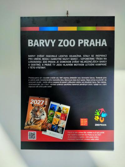NÁVŠTĚVA VÝSTAVY V OC KRAKOV  - BARVY ZOO PRAHA