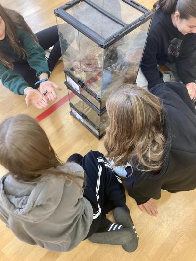 Havěti naproti