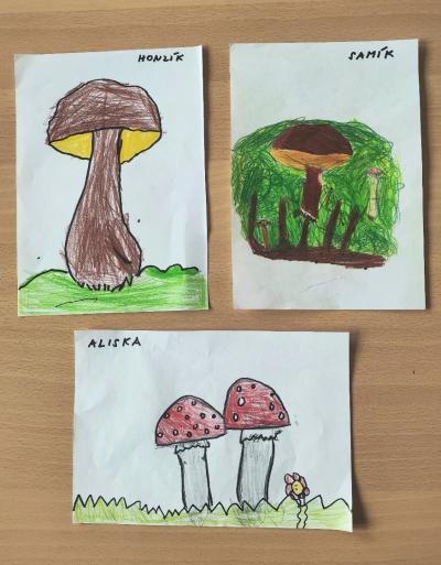 I HOUBY K PODZIMU PATŘÍ ...
