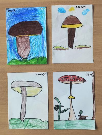 I HOUBY K PODZIMU PATŘÍ ...
