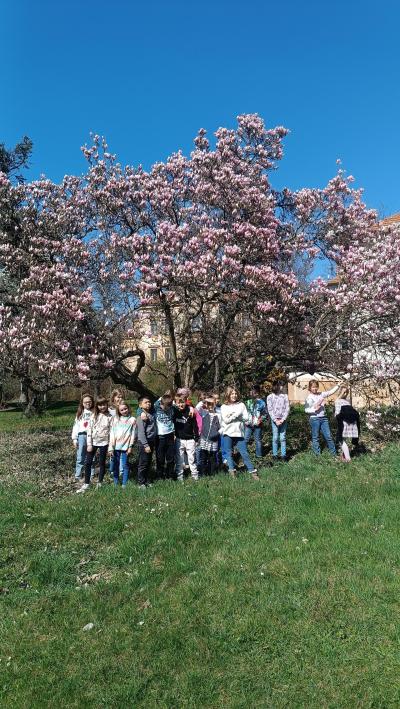 Rozkvetlý park PN Bohnice