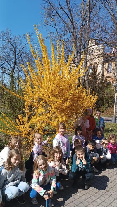 Rozkvetlý park PN Bohnice