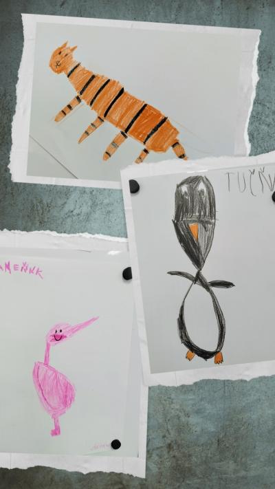 ZVÍŘÁTKA ZE ZOO