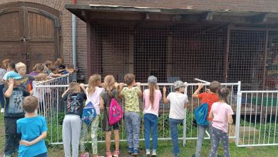 Vycházka za zvířátky na farmu