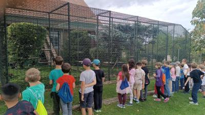 Vycházka za zvířátky na farmu