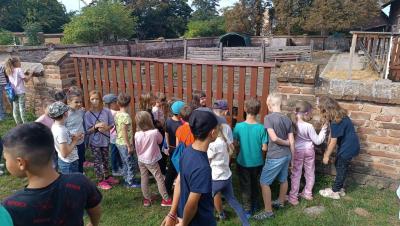 Vycházka za zvířátky na farmu