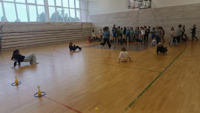 OSLAVILI JSME DEN ZVÍŘAT