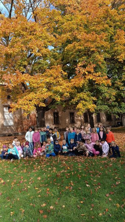 OSLAVILI JSME DEN STROMŮ