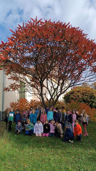 OSLAVILI JSME DEN STROMŮ