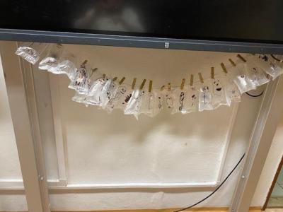 Příprava na Halloween