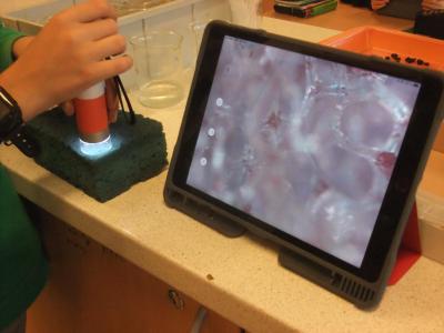 V zajetí počítačové gramotnosti