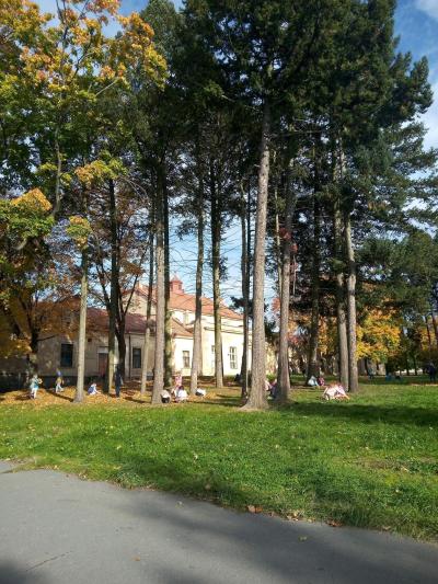 Den STROMŮ v parku PN