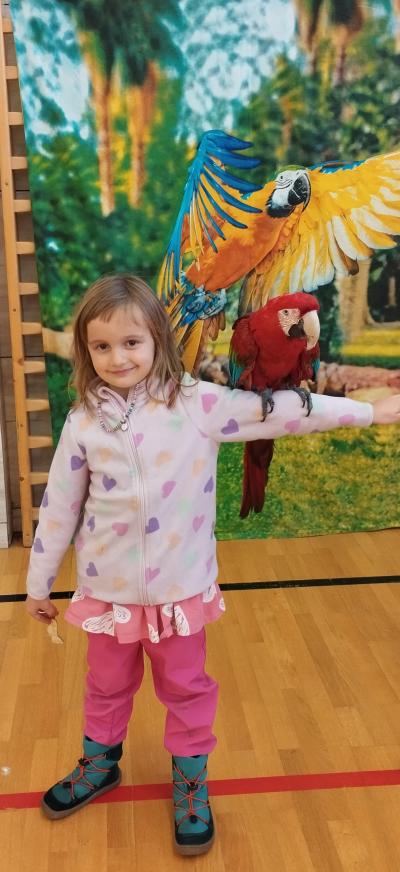 SPOLEČNÁ AKCE ŠD PAPOUŠCI