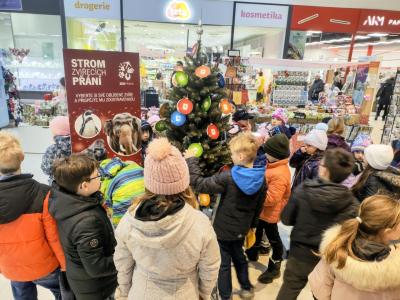 OC KRAKOV - ADOPTUJ MĚ - STROM ZVÍŘECÍCH PŘÁNÍ