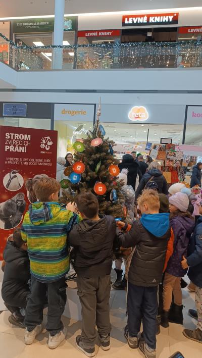 Strom zvířecích přání + ADOPTUJTE MĚ