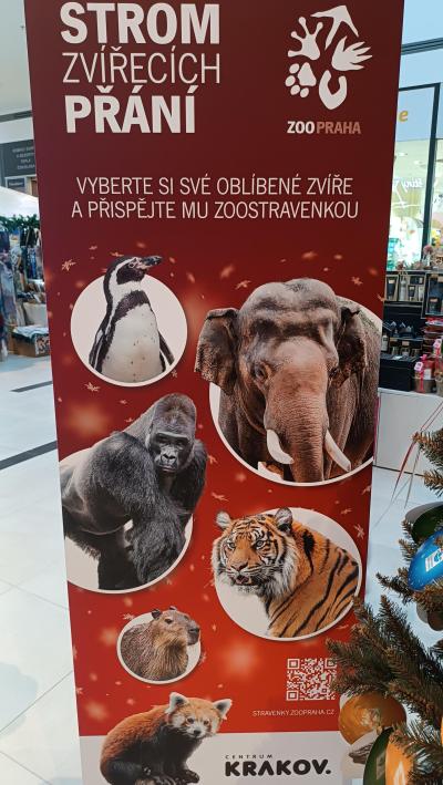 Strom zvířecích přání + ADOPTUJTE MĚ