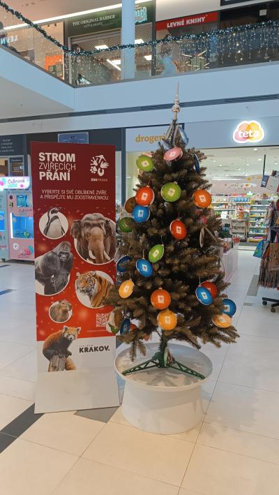 Strom zvířecích přání + ADOPTUJTE MĚ