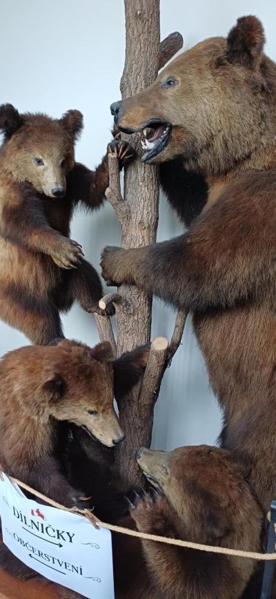 Těšíme se na Vánoce