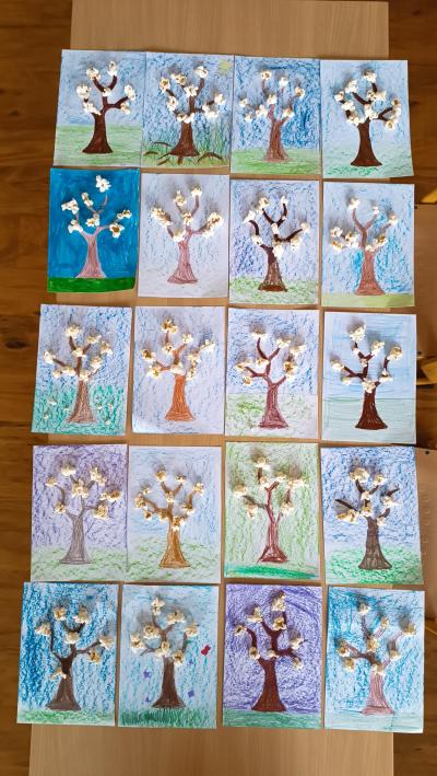 Rozkvetlé stromy - popcornovníky