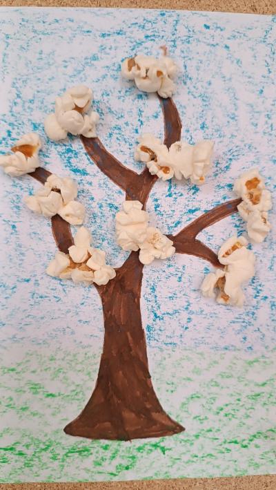 Rozkvetlé stromy - popcornovníky