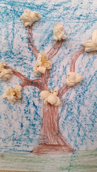 Rozkvetlé stromy - popcornovníky