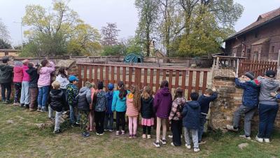 Vycházka za zvířátky na farmu