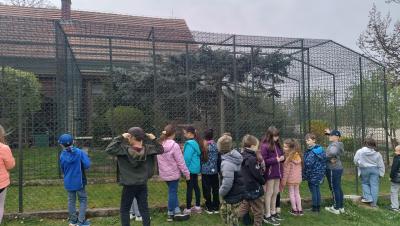 Vycházka za zvířátky na farmu