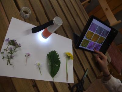 Botanici v akci